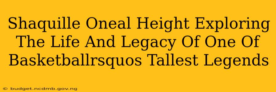 Shaquille Oneal Height Exploring The Life And Legacy Of One Of Basketballrsquos Tallest Legends