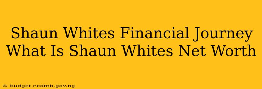 Shaun Whites Financial Journey What Is Shaun Whites Net Worth