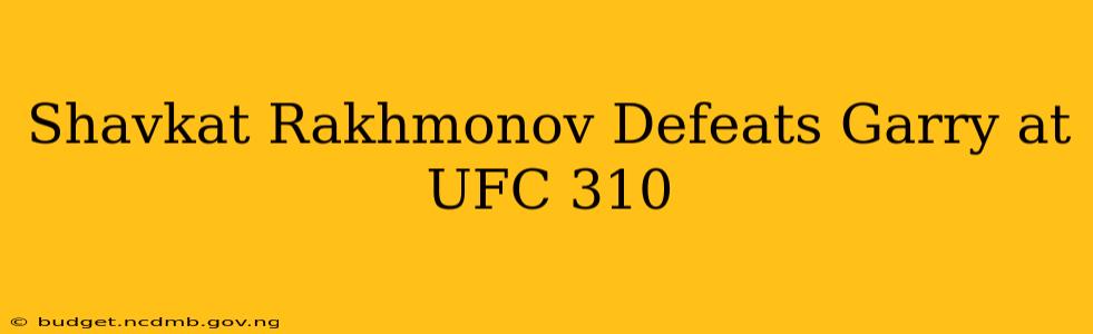Shavkat Rakhmonov Defeats Garry at UFC 310