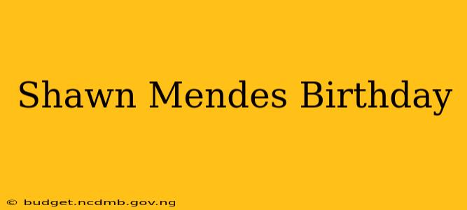 Shawn Mendes Birthday