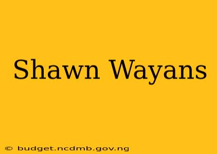 Shawn Wayans