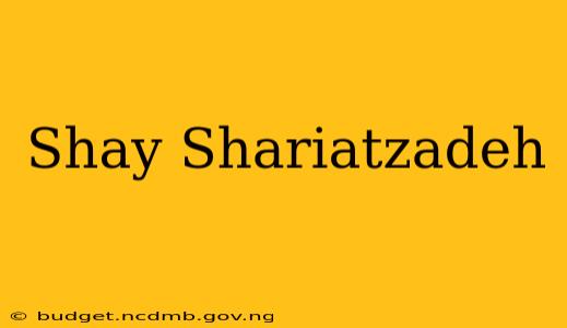 Shay Shariatzadeh