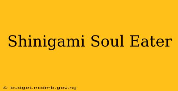 Shinigami Soul Eater