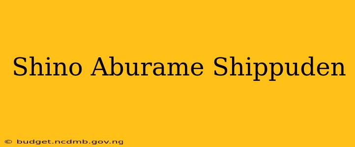 Shino Aburame Shippuden