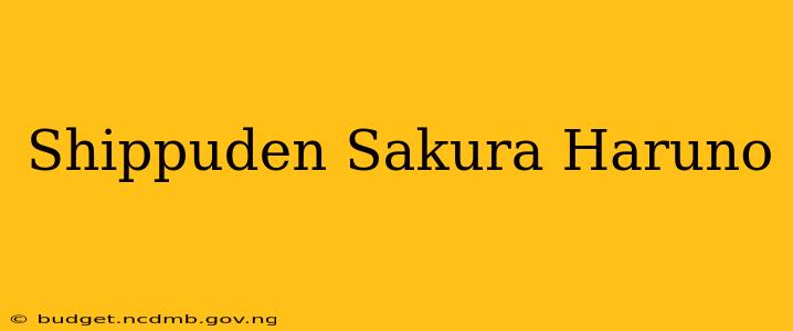 Shippuden Sakura Haruno