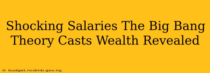 Shocking Salaries The Big Bang Theory Casts Wealth Revealed