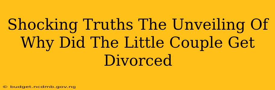 Shocking Truths The Unveiling Of Why Did The Little Couple Get Divorced