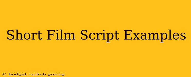 Short Film Script Examples