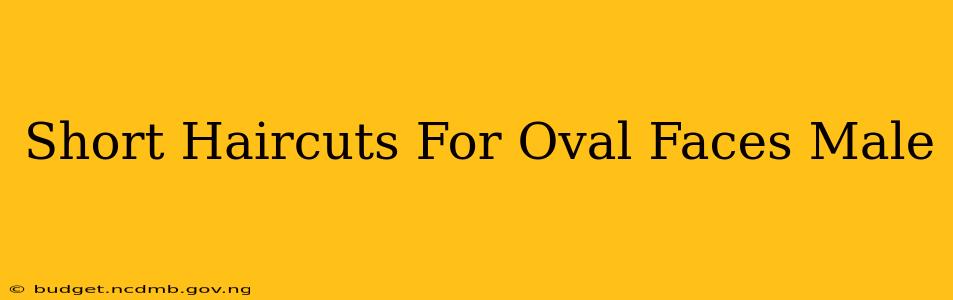 Short Haircuts For Oval Faces Male
