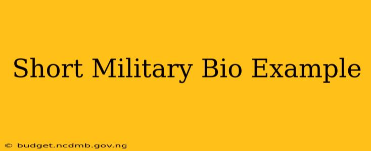 Short Military Bio Example