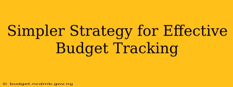 Simpler Strategy for Effective Budget Tracking