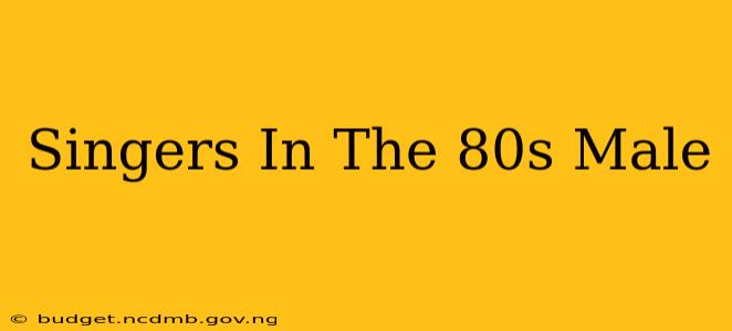 Singers In The 80s Male