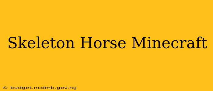 Skeleton Horse Minecraft