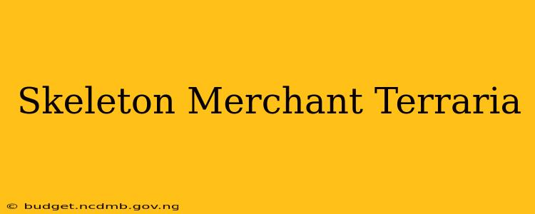 Skeleton Merchant Terraria