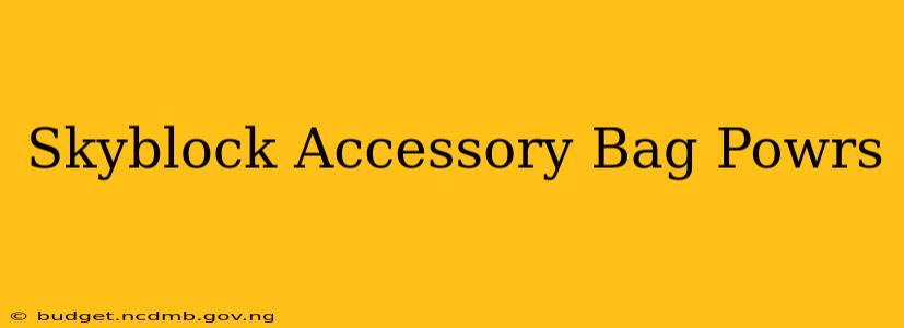 Skyblock Accessory Bag Powrs