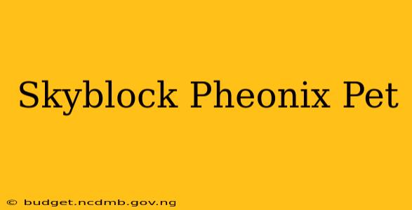 Skyblock Pheonix Pet