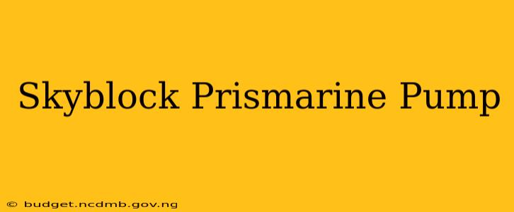 Skyblock Prismarine Pump