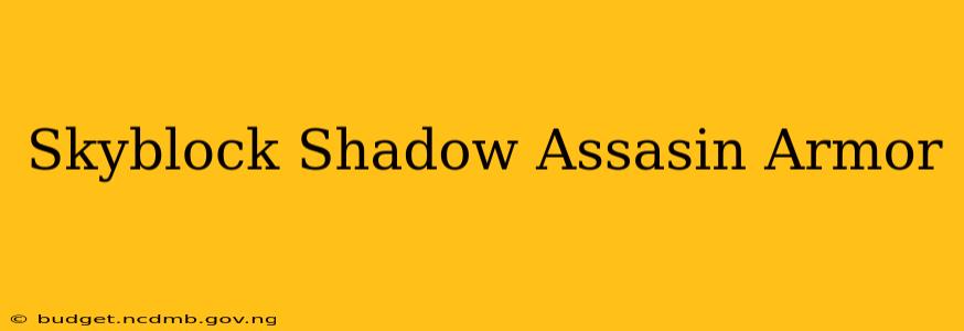 Skyblock Shadow Assasin Armor