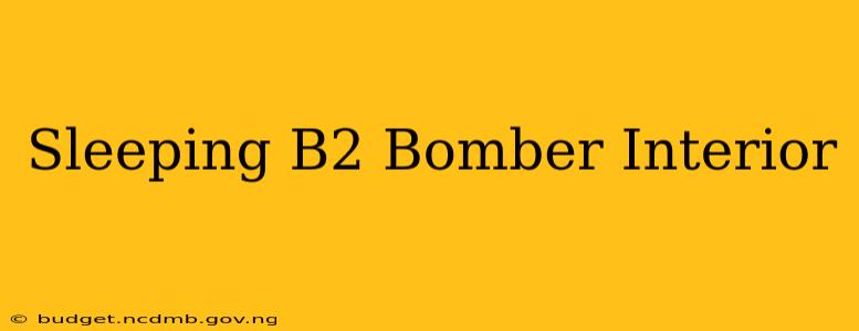 Sleeping B2 Bomber Interior