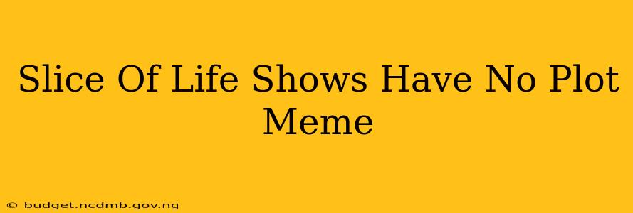 Slice Of Life Shows Have No Plot Meme