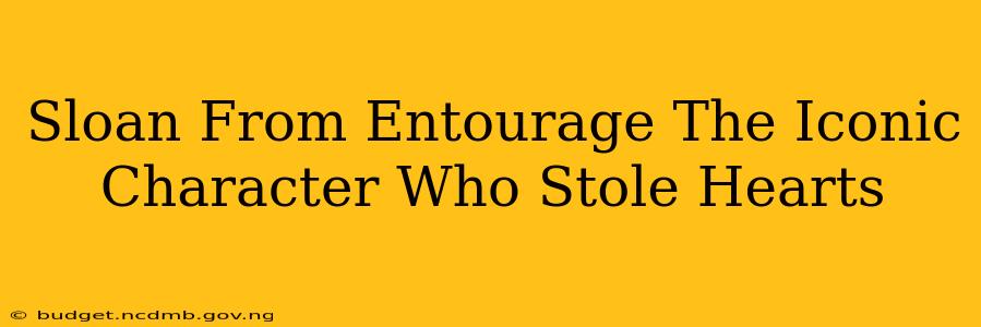Sloan From Entourage The Iconic Character Who Stole Hearts