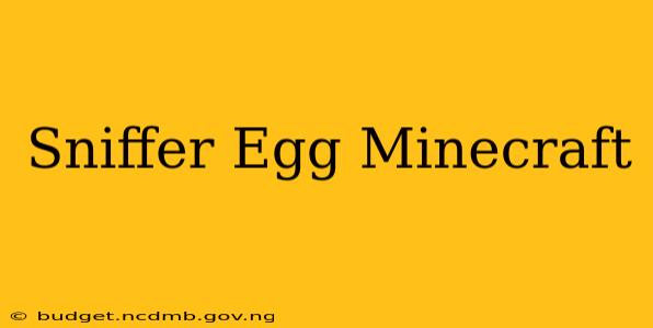 Sniffer Egg Minecraft