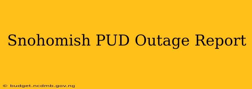 Snohomish PUD Outage Report