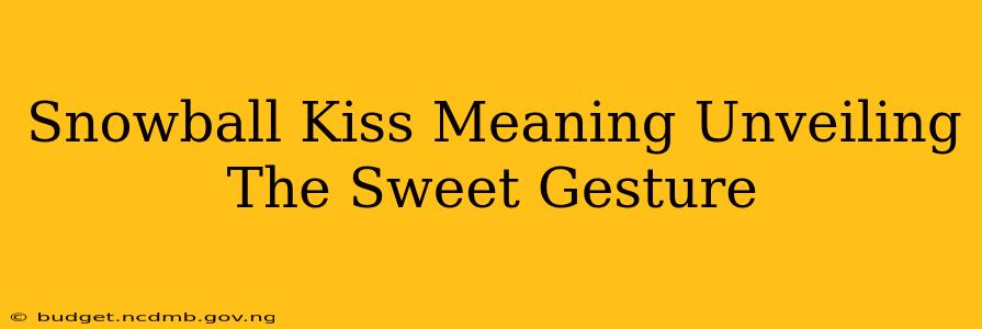 Snowball Kiss Meaning Unveiling The Sweet Gesture