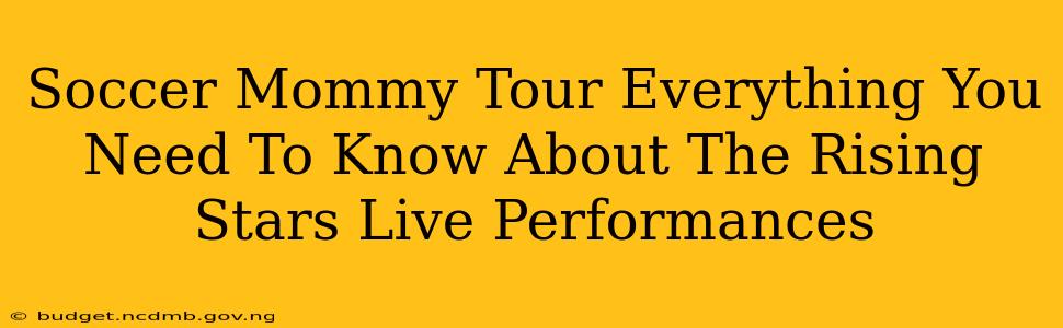 Soccer Mommy Tour Everything You Need To Know About The Rising Stars Live Performances