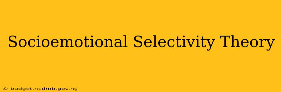 Socioemotional Selectivity Theory