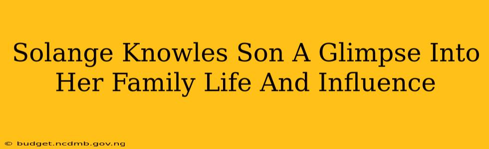 Solange Knowles Son A Glimpse Into Her Family Life And Influence