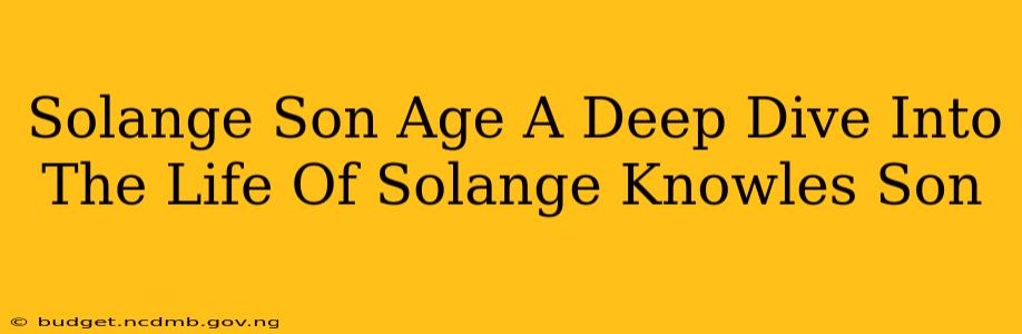 Solange Son Age A Deep Dive Into The Life Of Solange Knowles Son