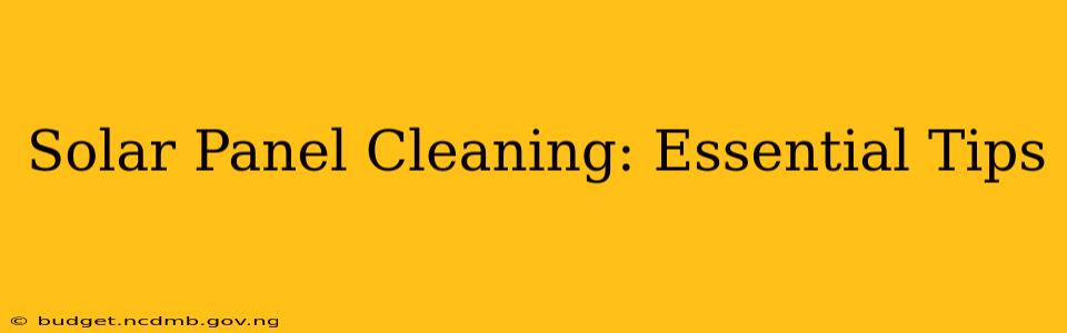 Solar Panel Cleaning: Essential Tips