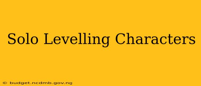 Solo Levelling Characters