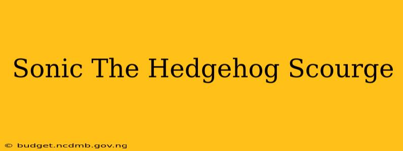 Sonic The Hedgehog Scourge
