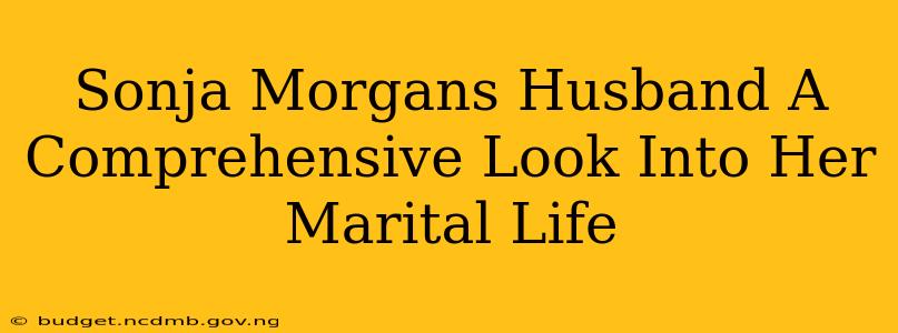 Sonja Morgans Husband A Comprehensive Look Into Her Marital Life