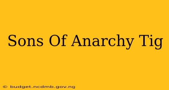 Sons Of Anarchy Tig
