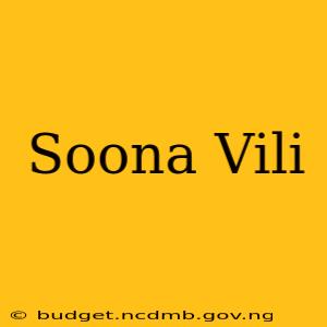 Soona Vili