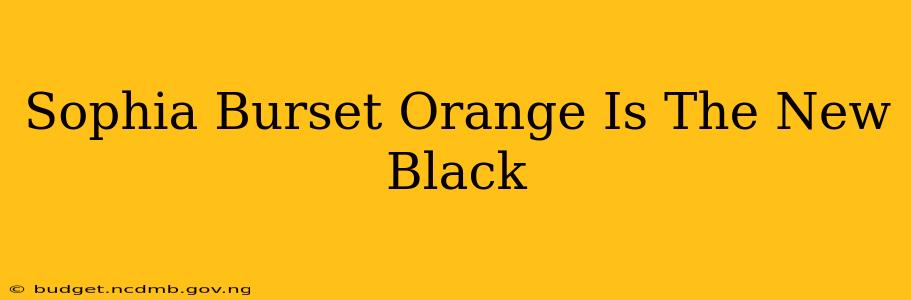 Sophia Burset Orange Is The New Black