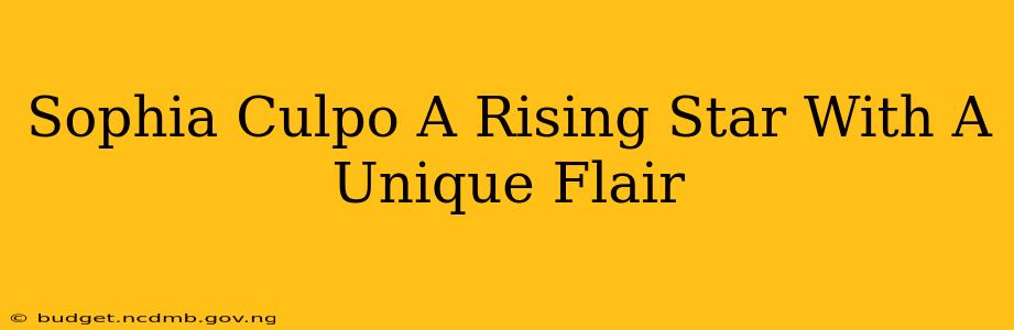 Sophia Culpo A Rising Star With A Unique Flair