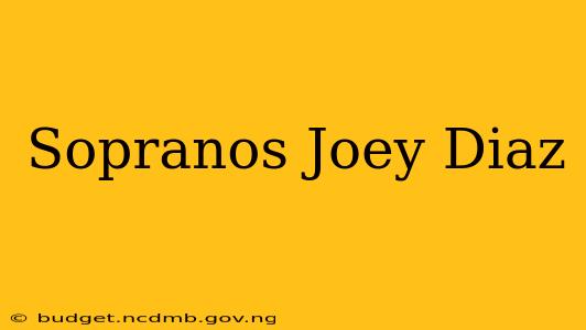 Sopranos Joey Diaz