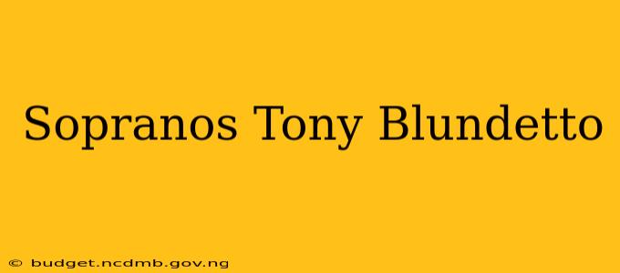 Sopranos Tony Blundetto