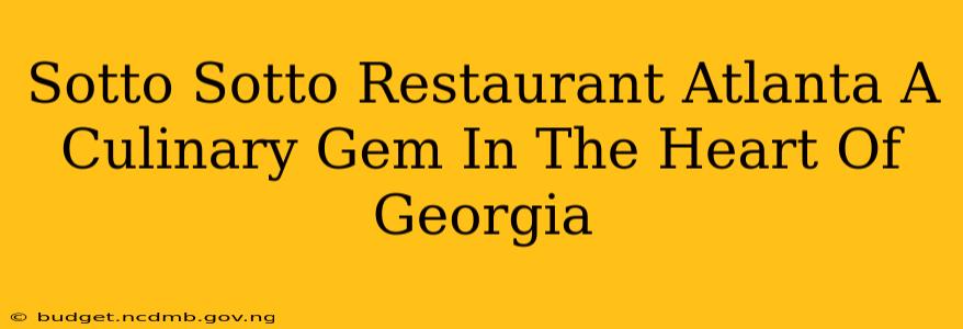 Sotto Sotto Restaurant Atlanta A Culinary Gem In The Heart Of Georgia