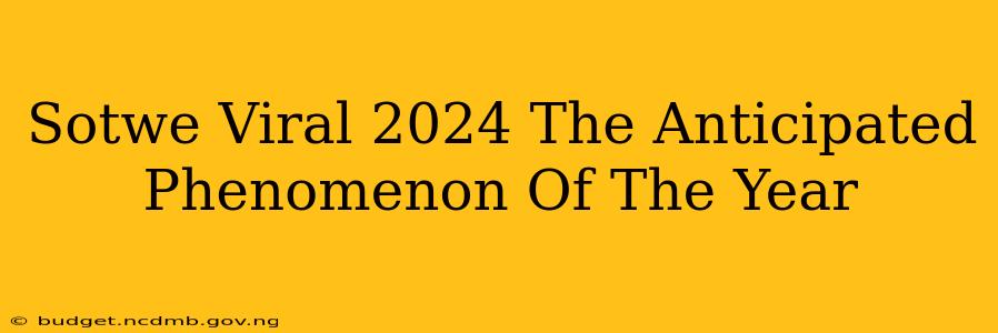 Sotwe Viral 2024 The Anticipated Phenomenon Of The Year
