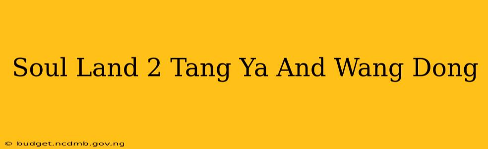 Soul Land 2 Tang Ya And Wang Dong