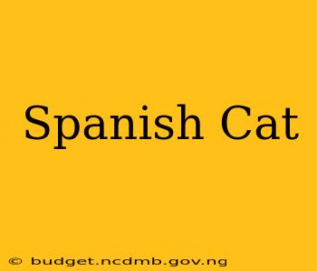 Spanish Cat
