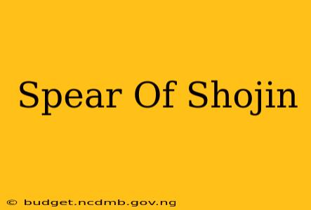 Spear Of Shojin