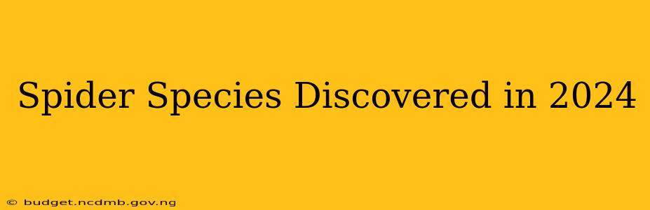 Spider Species Discovered in 2024