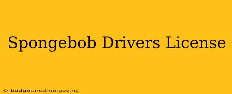 Spongebob Drivers License