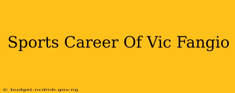 Sports Career Of Vic Fangio